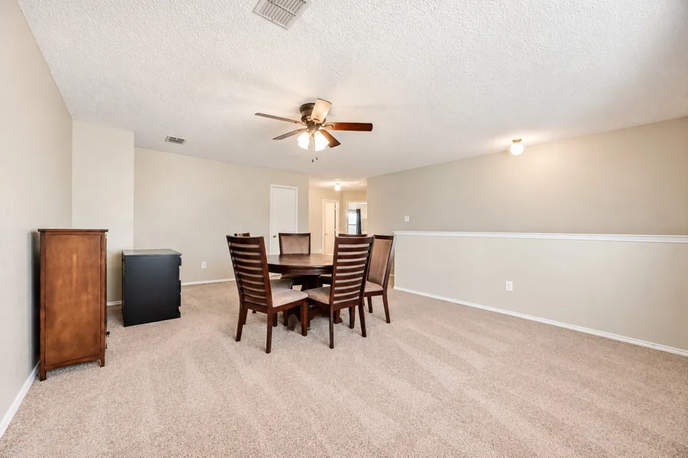 2517 Brinlee Branch Lane McKinney, TX 75071