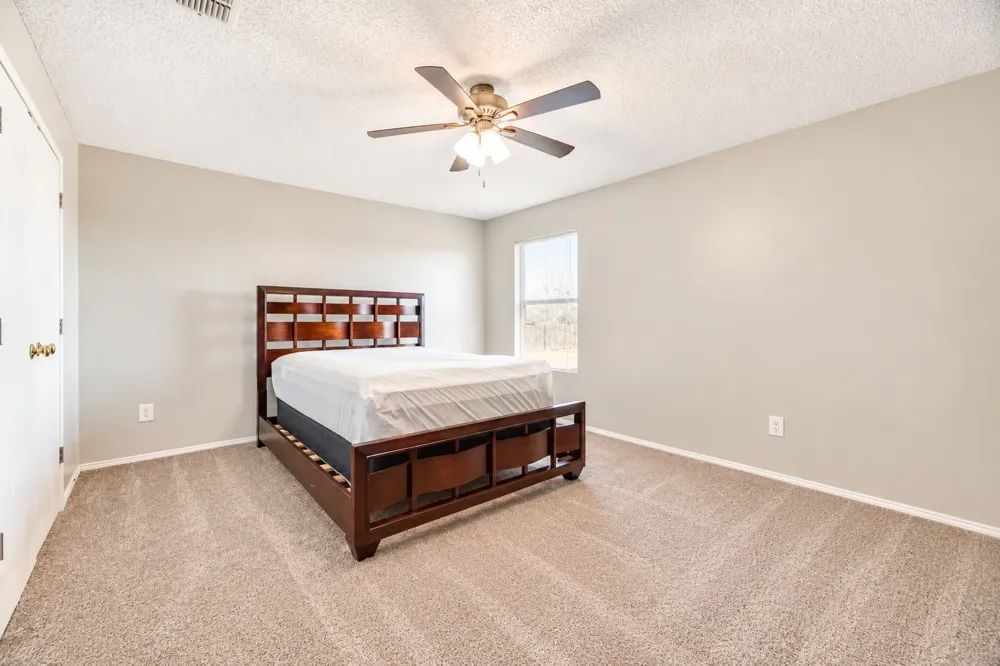 2517 Brinlee Branch Lane McKinney, TX 75071