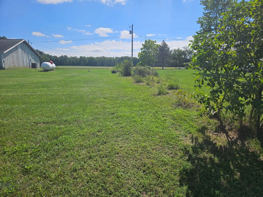 6597 W Walton Road Rolland Township, MI 49310