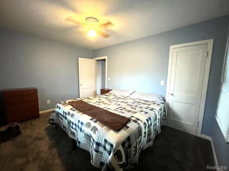 315 Stanley Street Bad Axe City, MI 48413