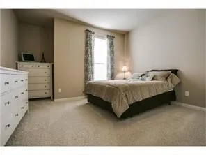 12832 Brook Ridge Drive Frisco, TX 75035