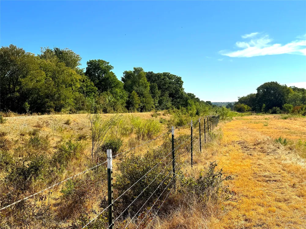 438 Oak View Lane Jacksboro, TX 76458