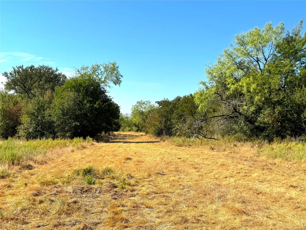 438 Oak View Lane Jacksboro, TX 76458