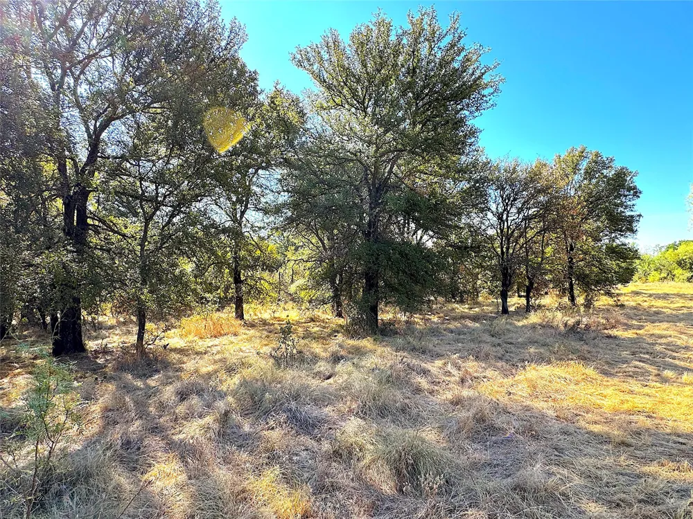 438 Oak View Lane Jacksboro, TX 76458