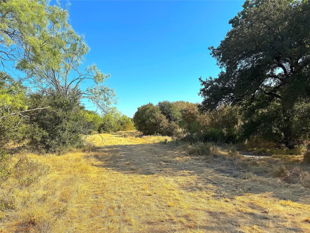 438 Oak View Lane Jacksboro, TX 76458