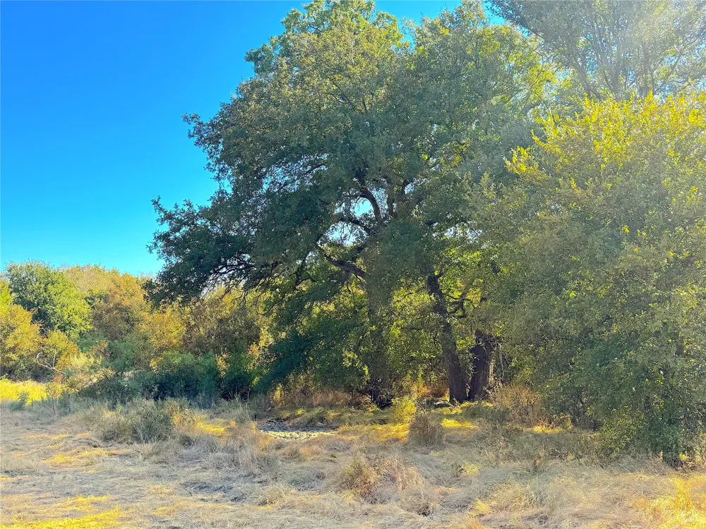 438 Oak View Lane Jacksboro, TX 76458