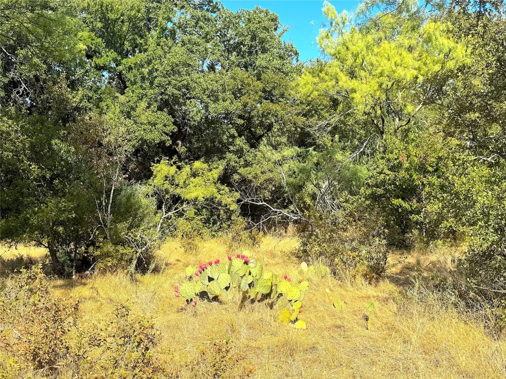 438 Oak View Lane Jacksboro, TX 76458