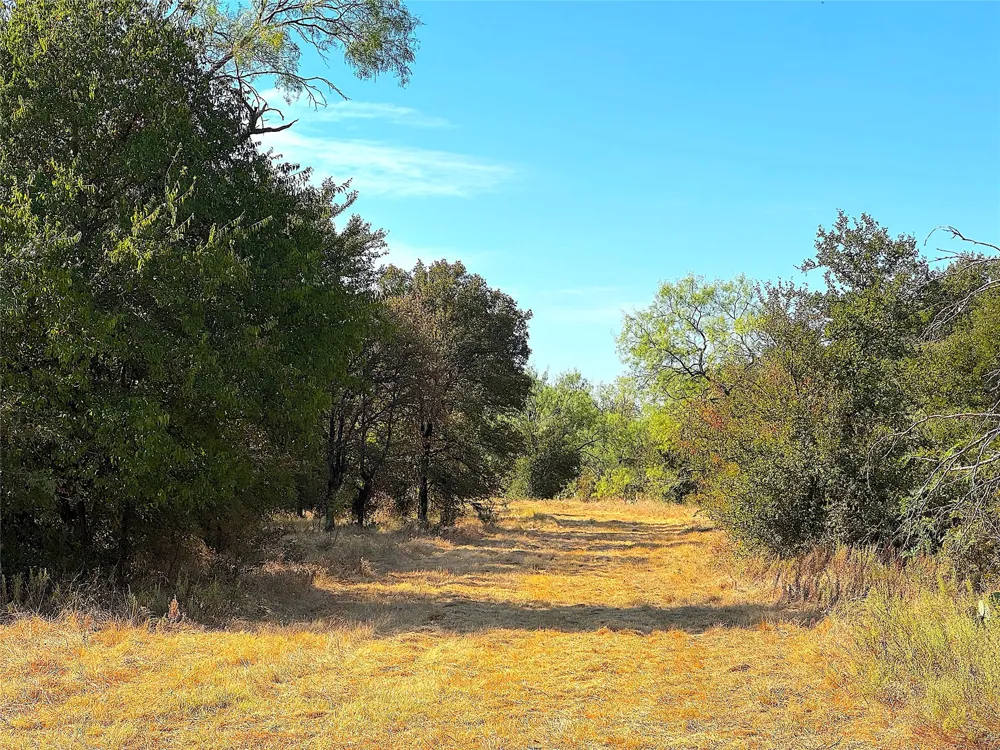438 Oak View Lane Jacksboro, TX 76458