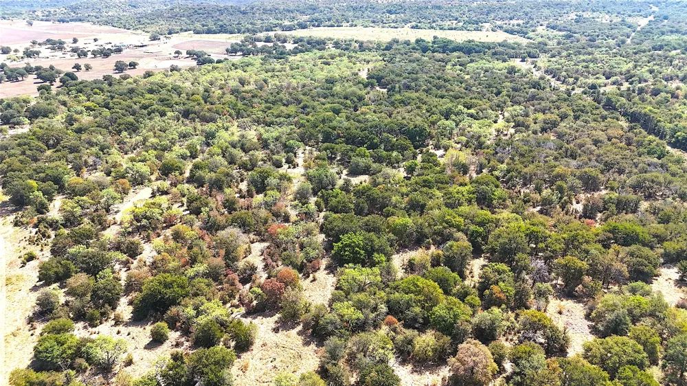 438 Oak View Lane Jacksboro, TX 76458