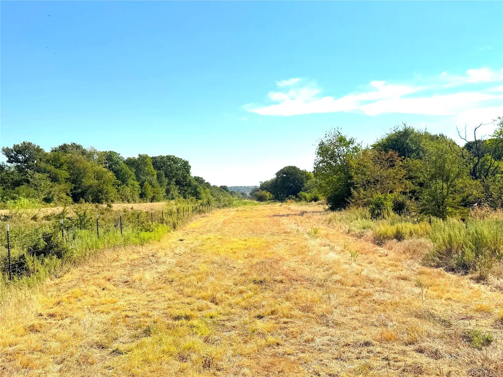 438 Oak View Lane Jacksboro, TX 76458