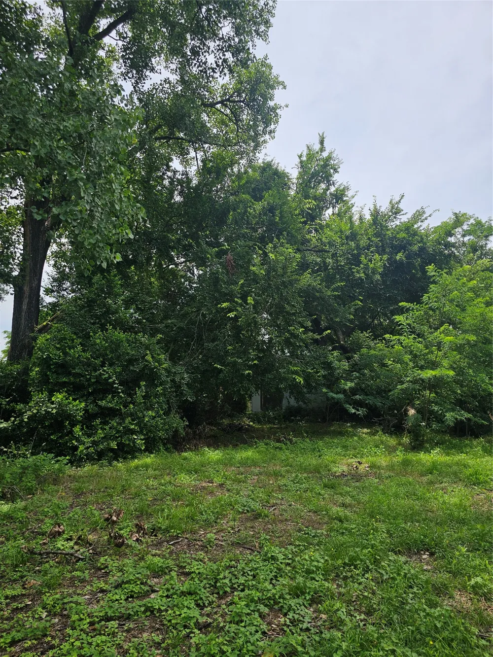 706 Spruce Street Teague, TX 75860