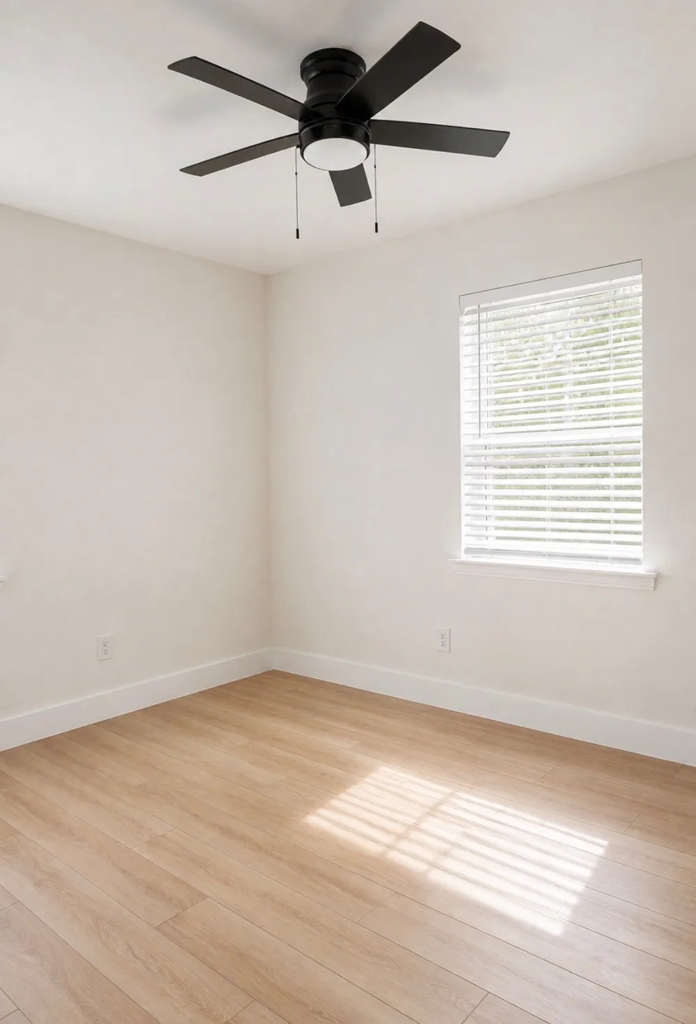 310 island Drive Richardson, TX 75081