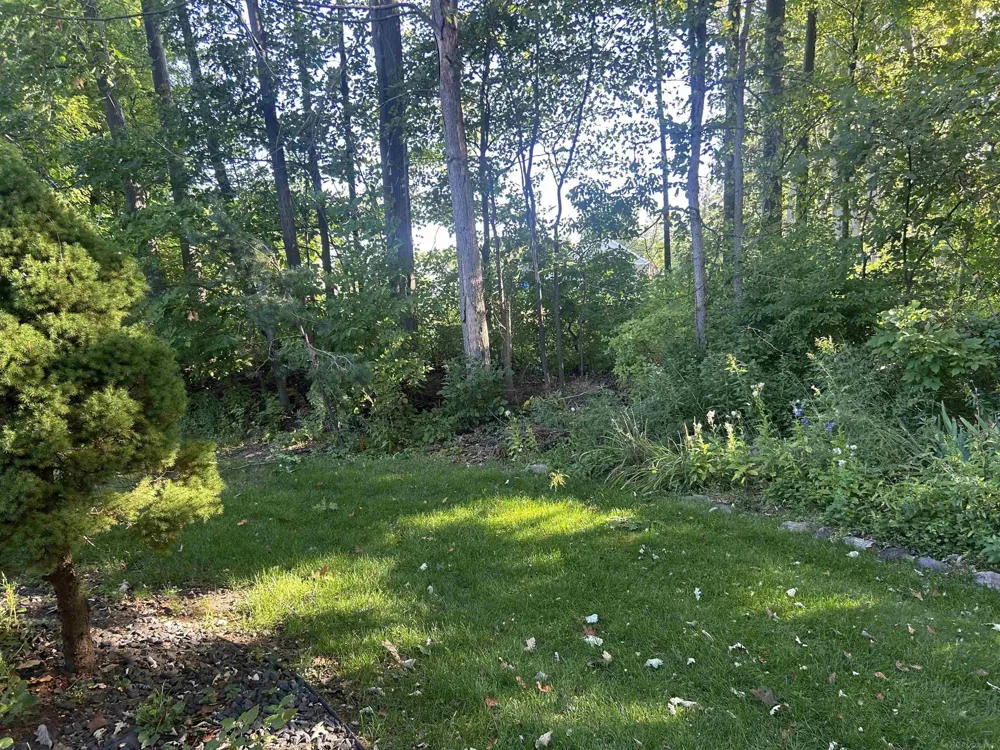 34283 Aspen Park Drive Chesterfield Township, MI 48047