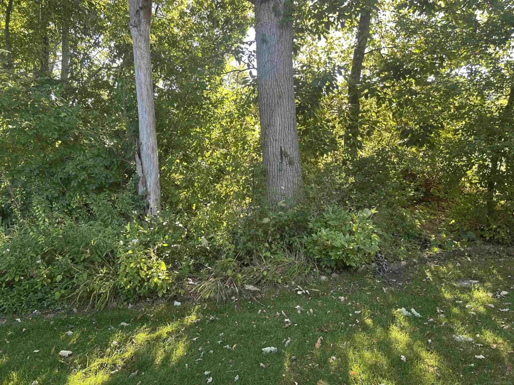 34283 Aspen Park Drive Chesterfield Township, MI 48047