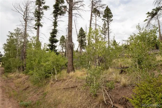 Lot 2571 Andes Loop Fort Garland, CO 81133
