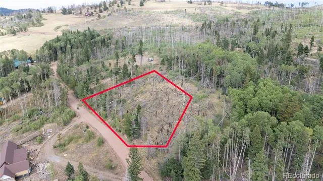 Lot 2571 Andes Loop Fort Garland, CO 81133