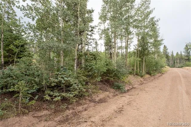 Lot 2571 Andes Loop Fort Garland, CO 81133