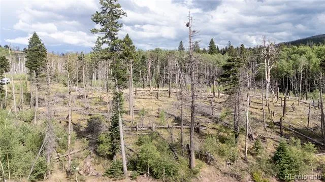Lot 2571 Andes Loop Fort Garland, CO 81133