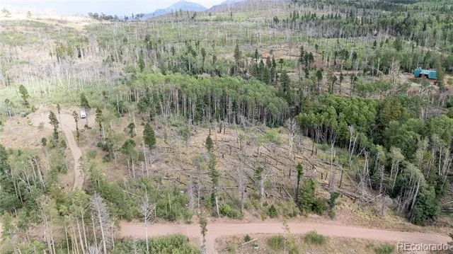 Lot 2571 Andes Loop Fort Garland, CO 81133