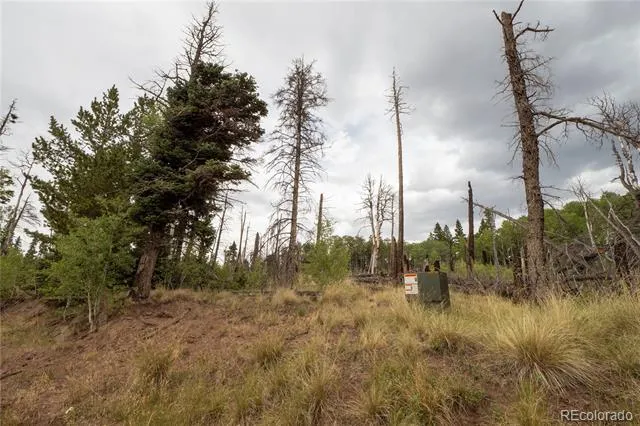 Lot 2571 Andes Loop Fort Garland, CO 81133
