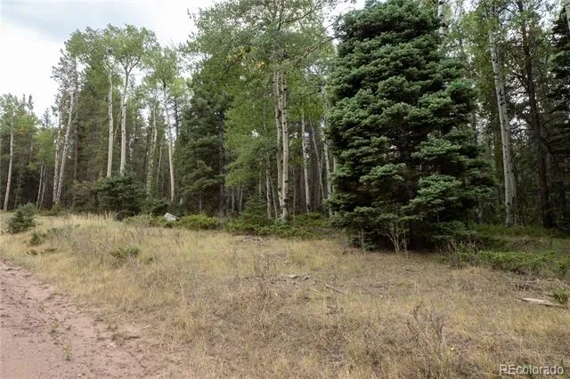 Lot 2915 Henderson Drive Fort Garland, CO 81133