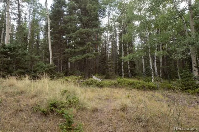 Lot 2915 Henderson Drive Fort Garland, CO 81133