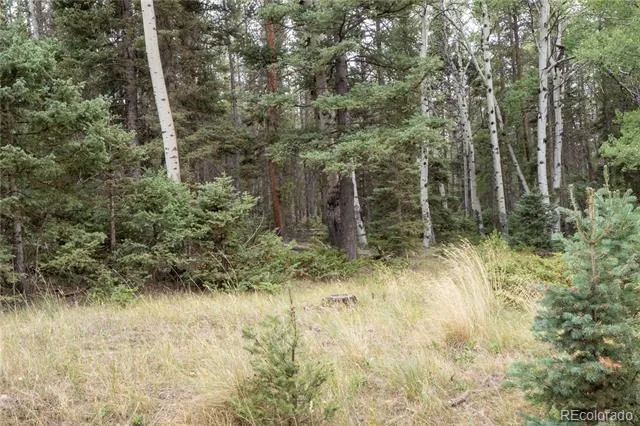 Lot 2915 Henderson Drive Fort Garland, CO 81133