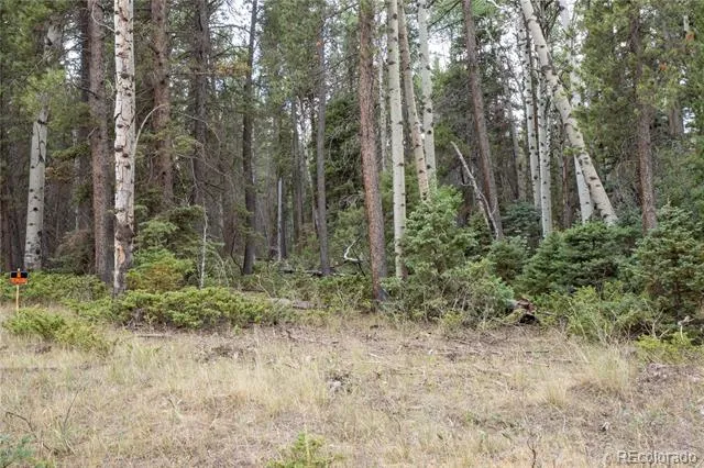 Lot 2915 Henderson Drive Fort Garland, CO 81133