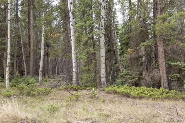Lot 2915 Henderson Drive Fort Garland, CO 81133