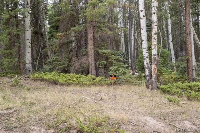 Lot 2915 Henderson Drive Fort Garland, CO 81133