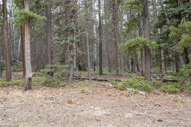 Lot 2915 Henderson Drive Fort Garland, CO 81133