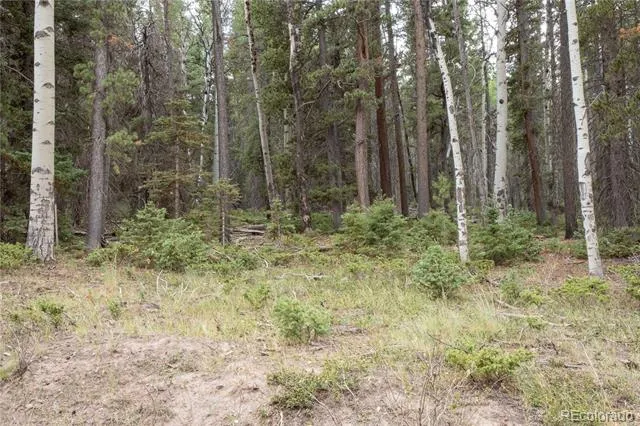 Lot 2915 Henderson Drive Fort Garland, CO 81133