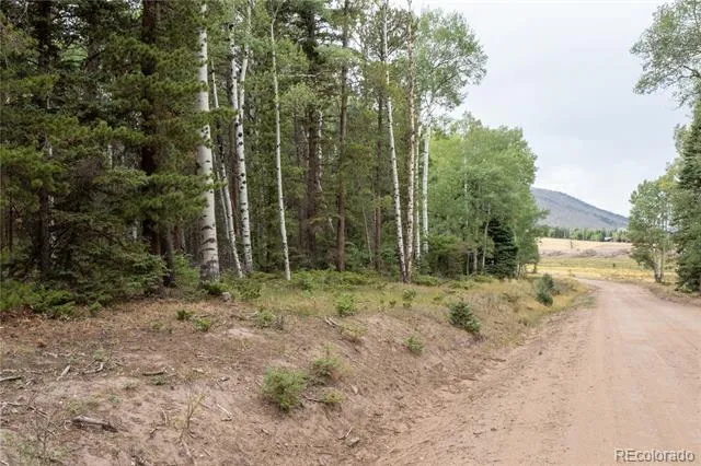 Lot 2915 Henderson Drive Fort Garland, CO 81133