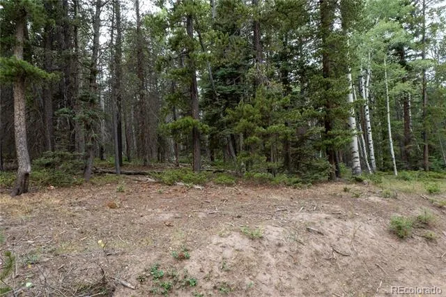 Lot 2915 Henderson Drive Fort Garland, CO 81133