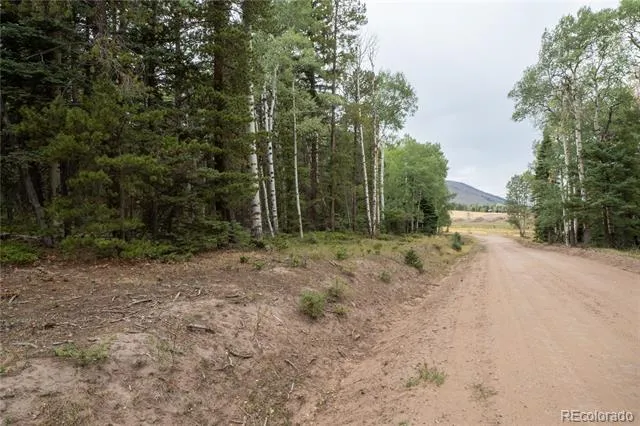 Lot 2915 Henderson Drive Fort Garland, CO 81133