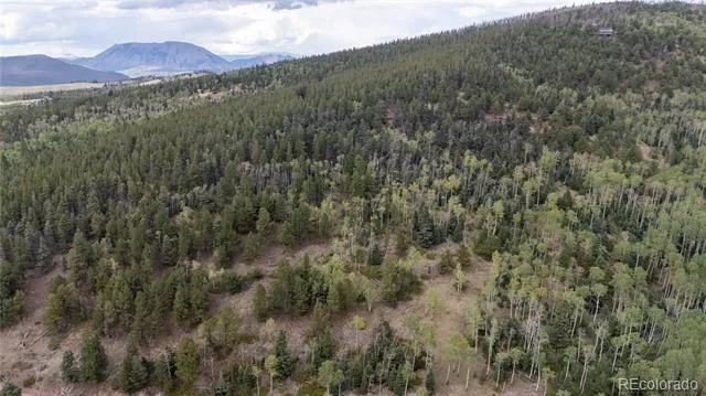 Lot 2915 Henderson Drive Fort Garland, CO 81133