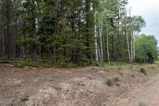 Lot 2915 Henderson Drive Fort Garland, CO 81133