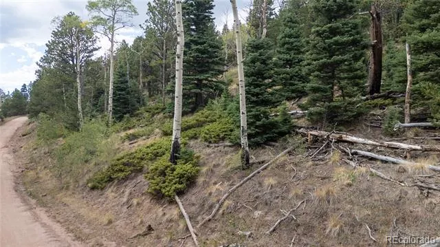 Lot 2915 Henderson Drive Fort Garland, CO 81133