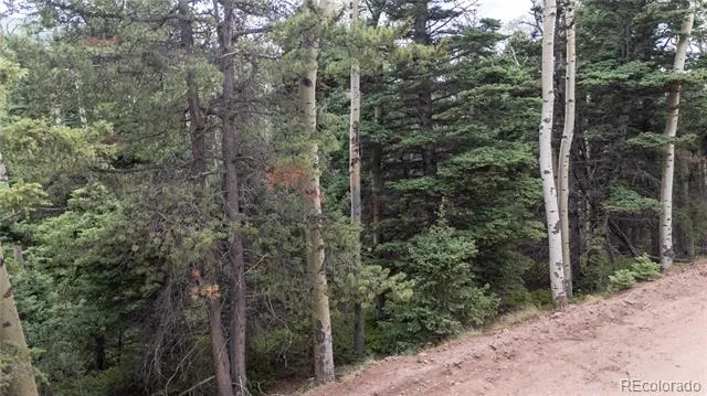 Lot 2915 Henderson Drive Fort Garland, CO 81133