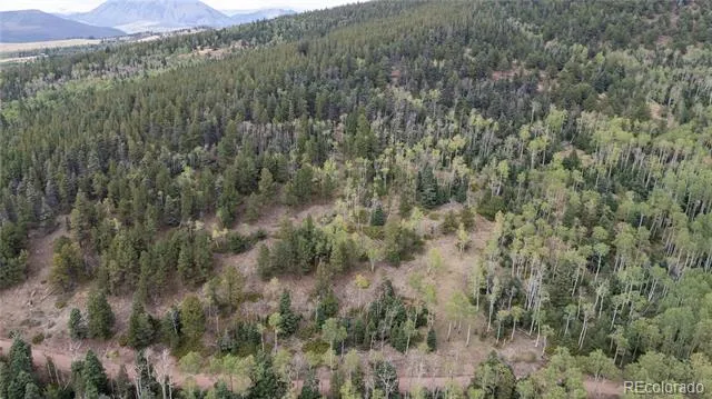 Lot 2915 Henderson Drive Fort Garland, CO 81133