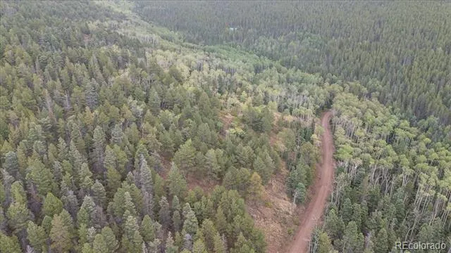 Lot 2260 Speciale Place Fort Garland, CO 81133
