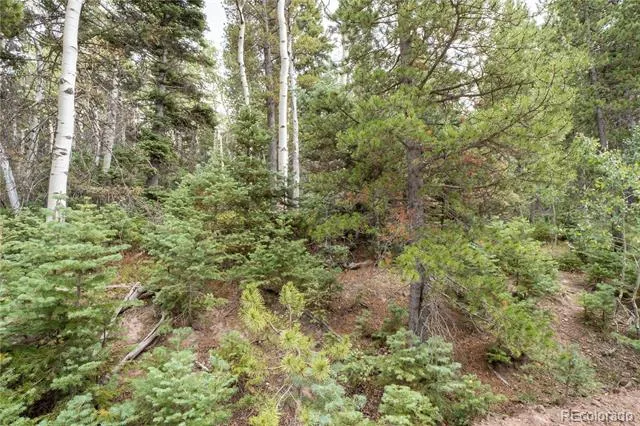Lot 2260 Speciale Place Fort Garland, CO 81133