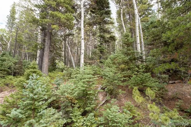 Lot 2260 Speciale Place Fort Garland, CO 81133