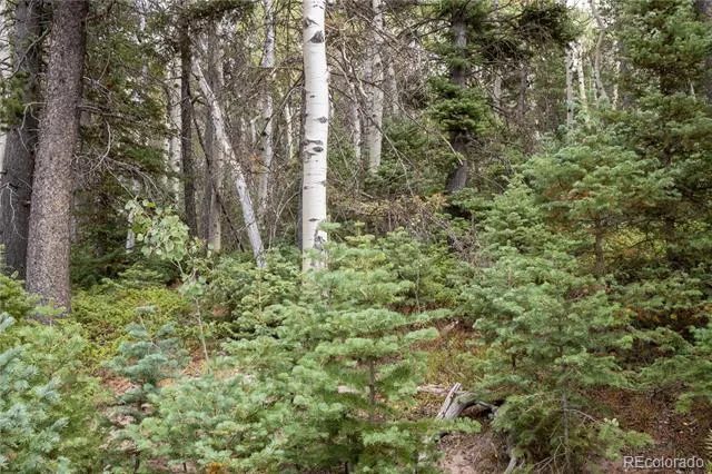 Lot 2260 Speciale Place Fort Garland, CO 81133