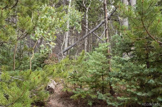 Lot 2260 Speciale Place Fort Garland, CO 81133