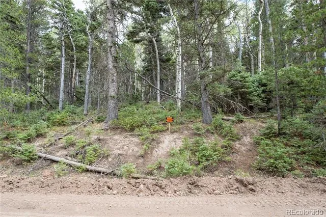 Lot 2260 Speciale Place Fort Garland, CO 81133