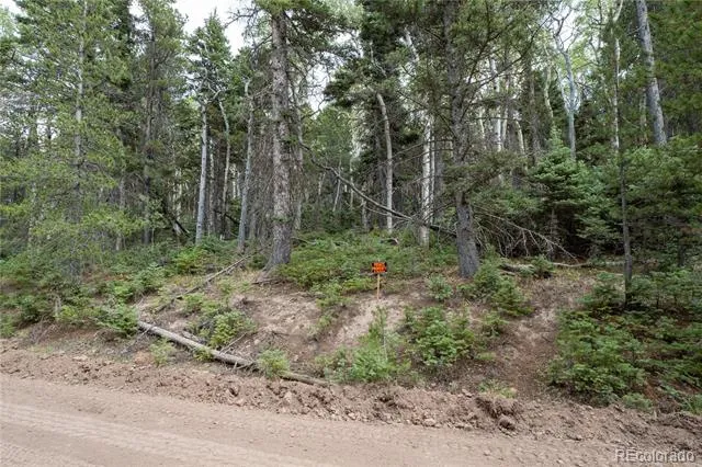 Lot 2260 Speciale Place Fort Garland, CO 81133