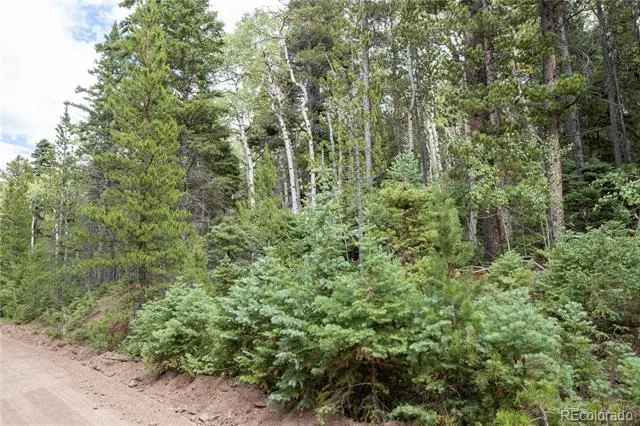 Lot 2260 Speciale Place Fort Garland, CO 81133