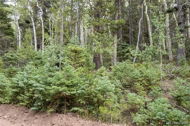 Lot 2260 Speciale Place Fort Garland, CO 81133