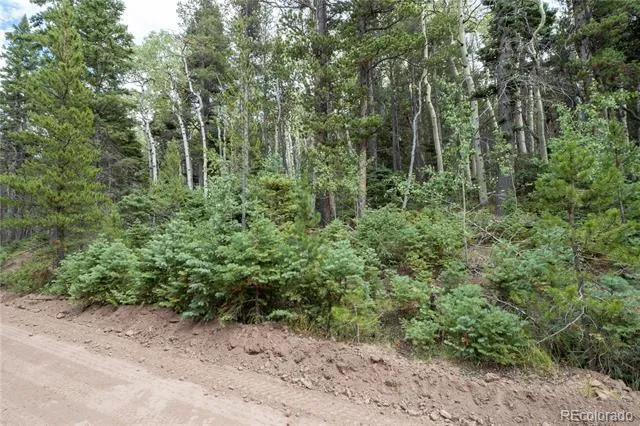Lot 2260 Speciale Place Fort Garland, CO 81133